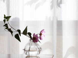 報酬についてのイメージ